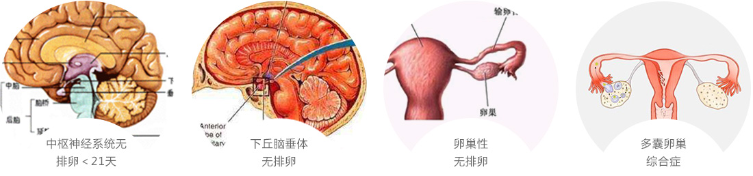 北京京通医院妇科